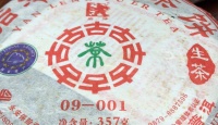 澜沧古茶0019年