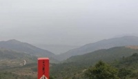 其他品牌小红条老白茶～便捷装2012年