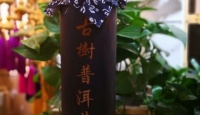 老同志老茶头2009年