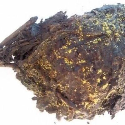 2013年春尖茯砖