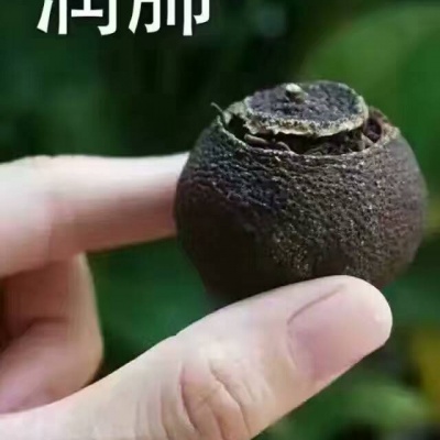 大益金柑小青柑500克/罐