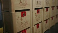 其他品牌七年老白茶2011年
