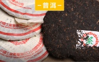 了解绿印圆茶，分辨中茶绿印的真假