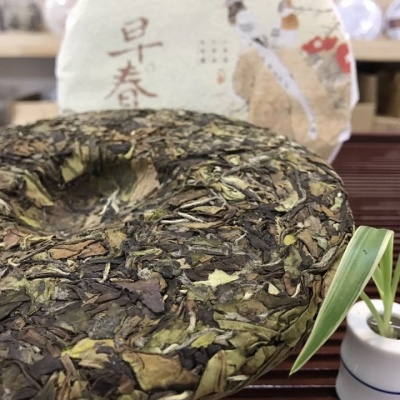 福鼎白茶