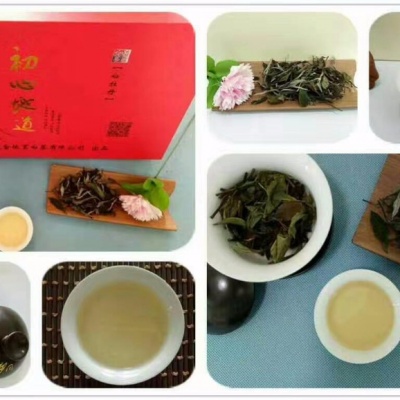 生态牡丹