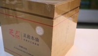 芝己正岩水仙2018年
