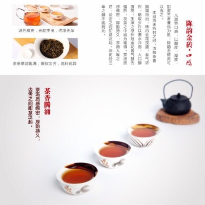 陈韵金砖茶