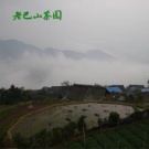 妖精的茶
