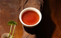 熟普传奇：关于普洱熟茶的编年史