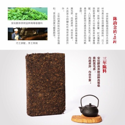 陈韵金砖茶