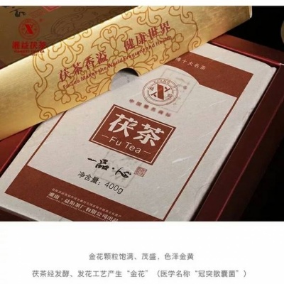 湘益2013年湖南安化黑茶一品·心世博名茶茯砖茯砖茶黑毛茶 400g