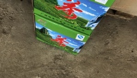 其他品牌茉莉花茶白雪飘香2018年