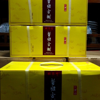 昔归古树