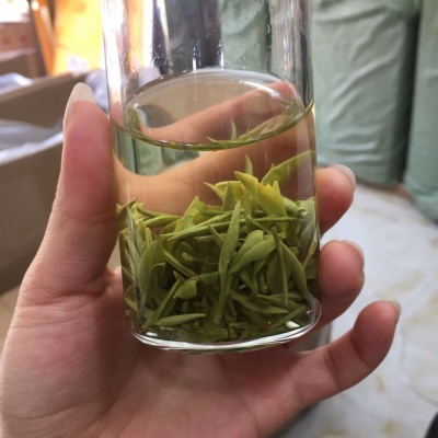 乌牛早醇香绿茶