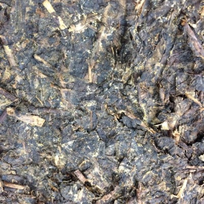 金湘益茯茶