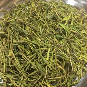 黄金芽