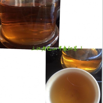 2016三江老巴山早春红茶