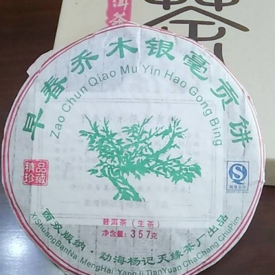 早春乔木银毫贡饼