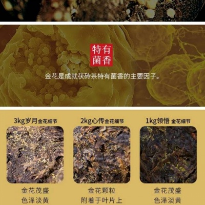 湖南黑茶 湘益茯茶 一帆风顺  精致礼品茶