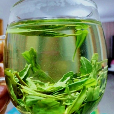 浙江高山绿茶|炒青|香茶|雨前绿茶