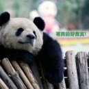 水瓶座