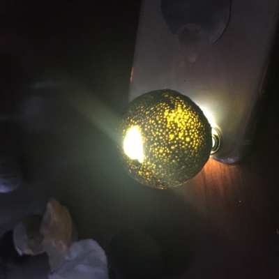 叶普轩小青柑