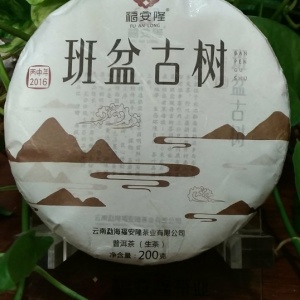 云南普洱茶 2016年 福安隆 班盆古树 200克 生茶