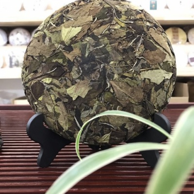 福鼎白茶