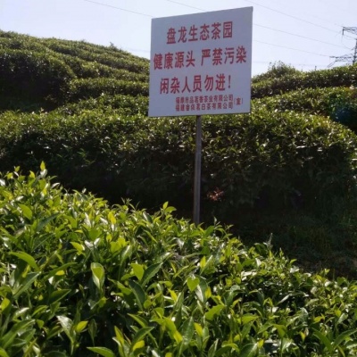 有机特级白毫银针