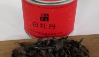 畲依茗罐装白牡丹2011年