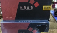 其他品牌福鼎白茶（巧克力茶砖）2016年