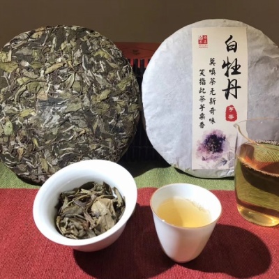 福鼎白茶