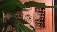 其他品牌竹筒香茶（雅名姑娘茶）2009年