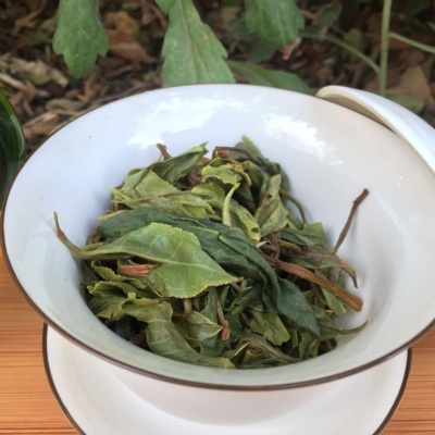 古树纯料