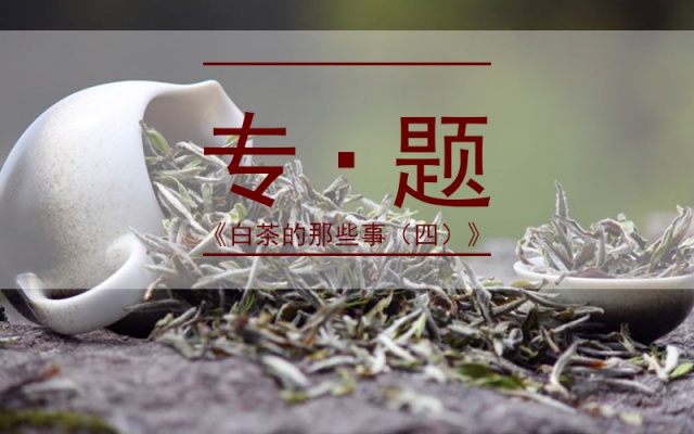 专题 | 白茶最新冲泡大全，非常实用攻略帖