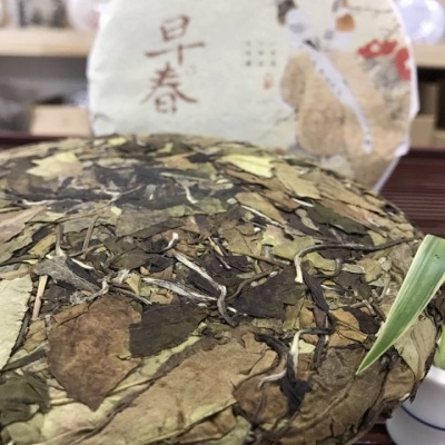 福鼎白茶