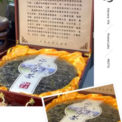 福鼎白茶六斤牡丹饼