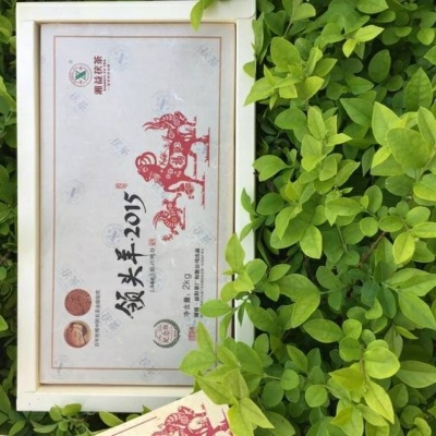 湖南安化黑茶湘益茯茶领头羊2kg金花茂盛收藏版纪念版第一批礼盒