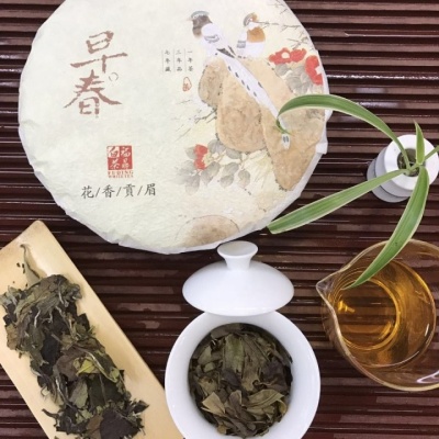 福鼎白茶