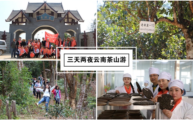 老班章·老班盆茶山深度探访之旅，现已接受报名跟团啦！