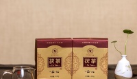 益阳茶厂一品·心2013年