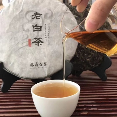 福鼎白茶