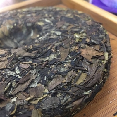 福鼎白茶
