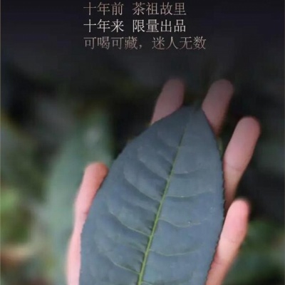 普洱、生茶（旺财生育饼）