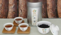 尊悦单丛茶往事老茶2016年