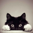 地理猫