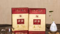 益阳茶厂真之茯2011年