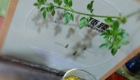 顶臻顶臻2000龙井 明前绿茶 西湖龙井120克一盒 铁盒装2018年