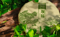 为什么你开始喜欢小众生活
