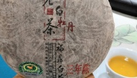 其他品牌白牡丹2013年